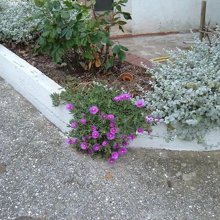 Alle Violette Oda ve Kahvaltı *