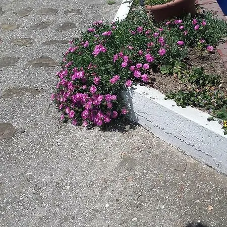 Oda ve Kahvaltı Alle Violette *