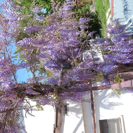 Alle Violette Oda ve Kahvaltı